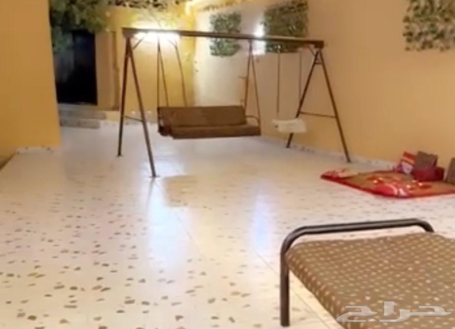 Swing64535273414402111