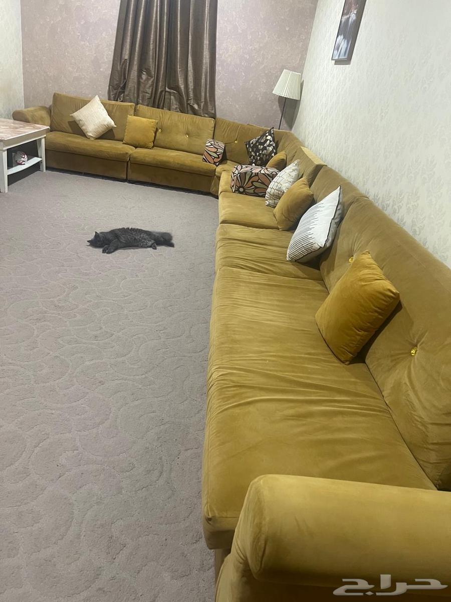 كنب للبيع64535457242882110