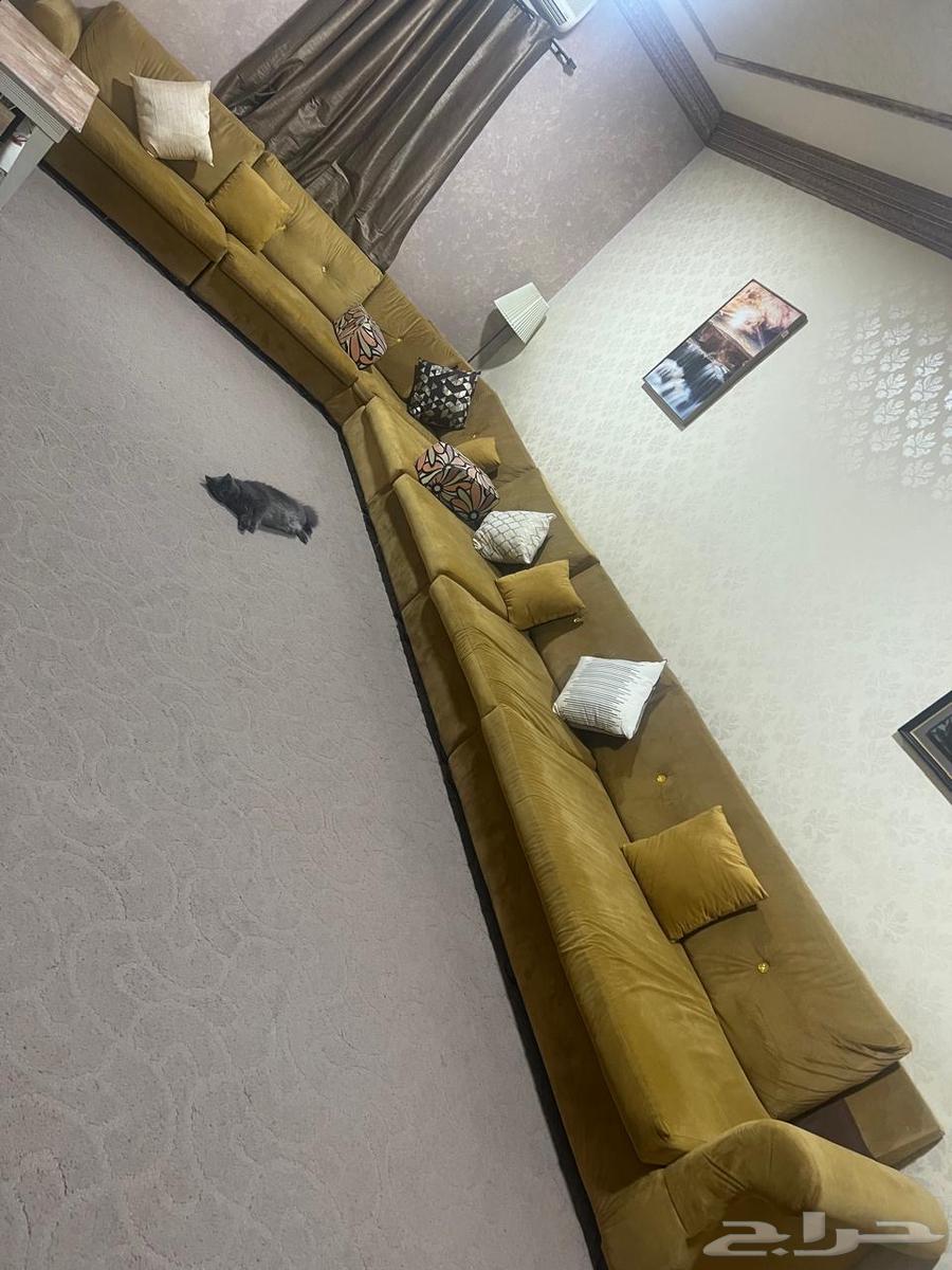 كنب للبيع64535457242882112