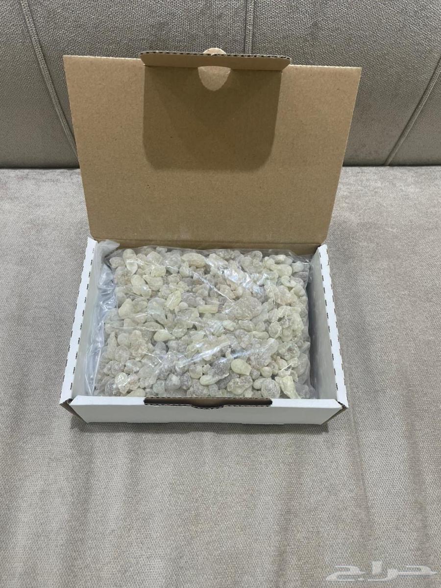 لبان ذكر حوجري للأكل جديد64525649756163113