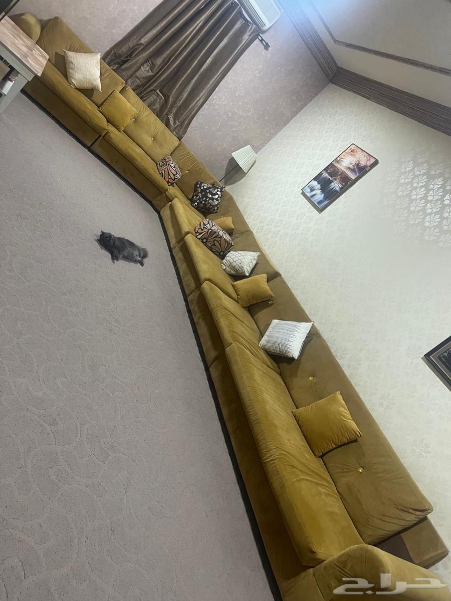 كنب للبيع64535457242882111