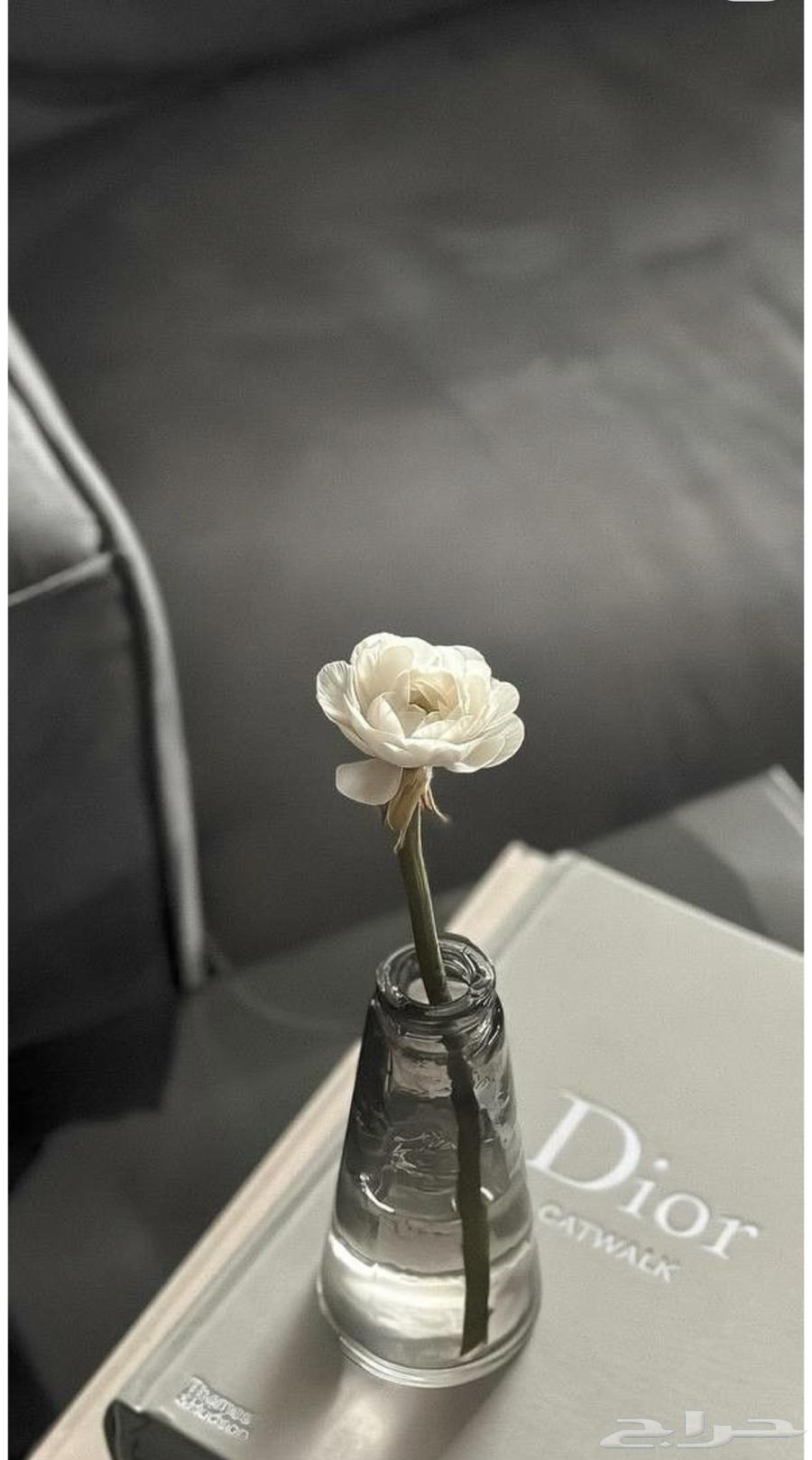 اثاث صالون رجالي جديد استخدم بس 3 شهور64547846899841110