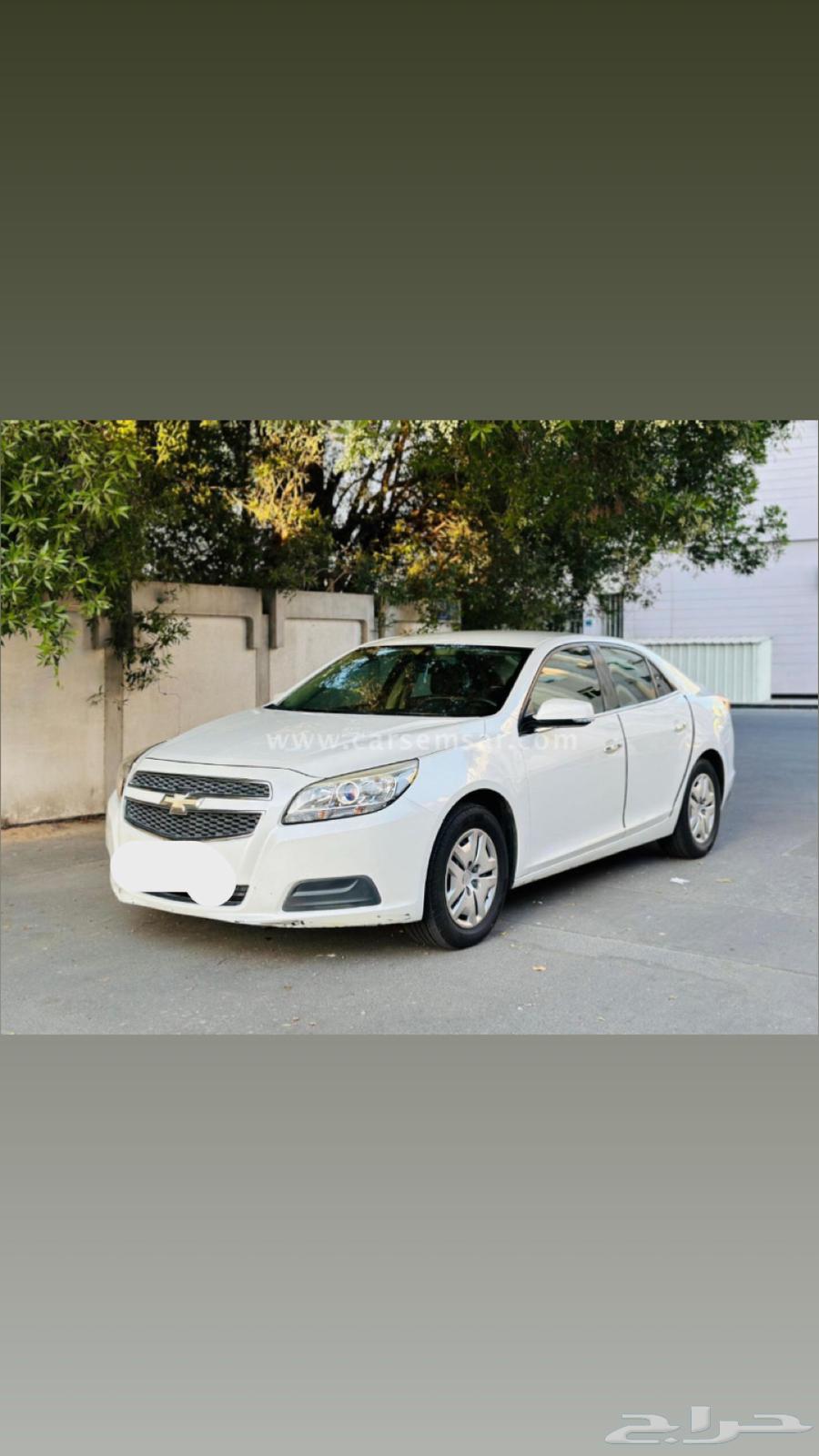 Delivery of Rides and Orders64151909159809110