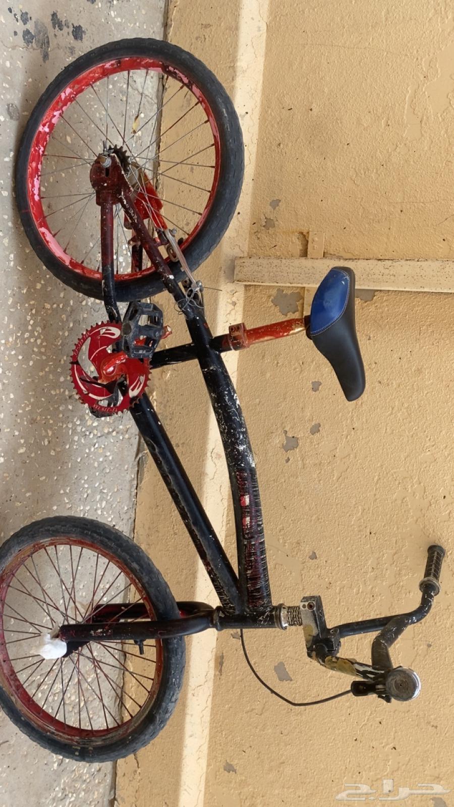 سيكل مقاس 22 للبيع64547346391554111