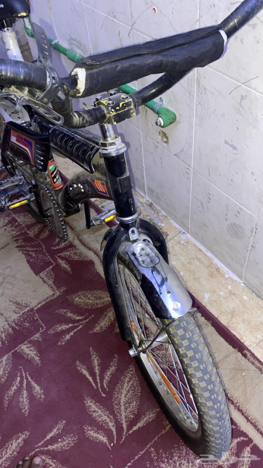 سيكل رامبو مقاس 2064552647401859114