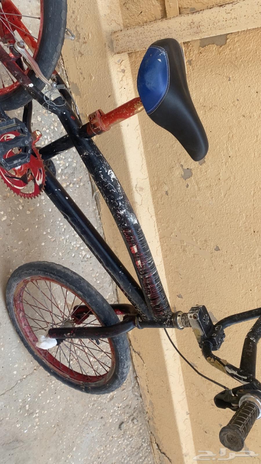 سيكل مقاس 22 للبيع64547346391554114