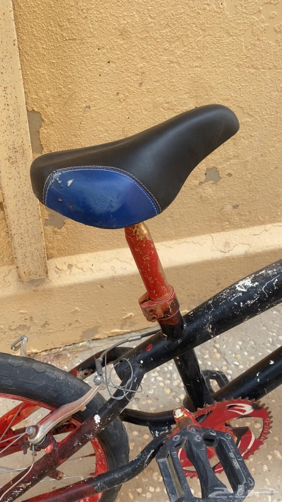 سيكل مقاس 22 للبيع64547346391554112