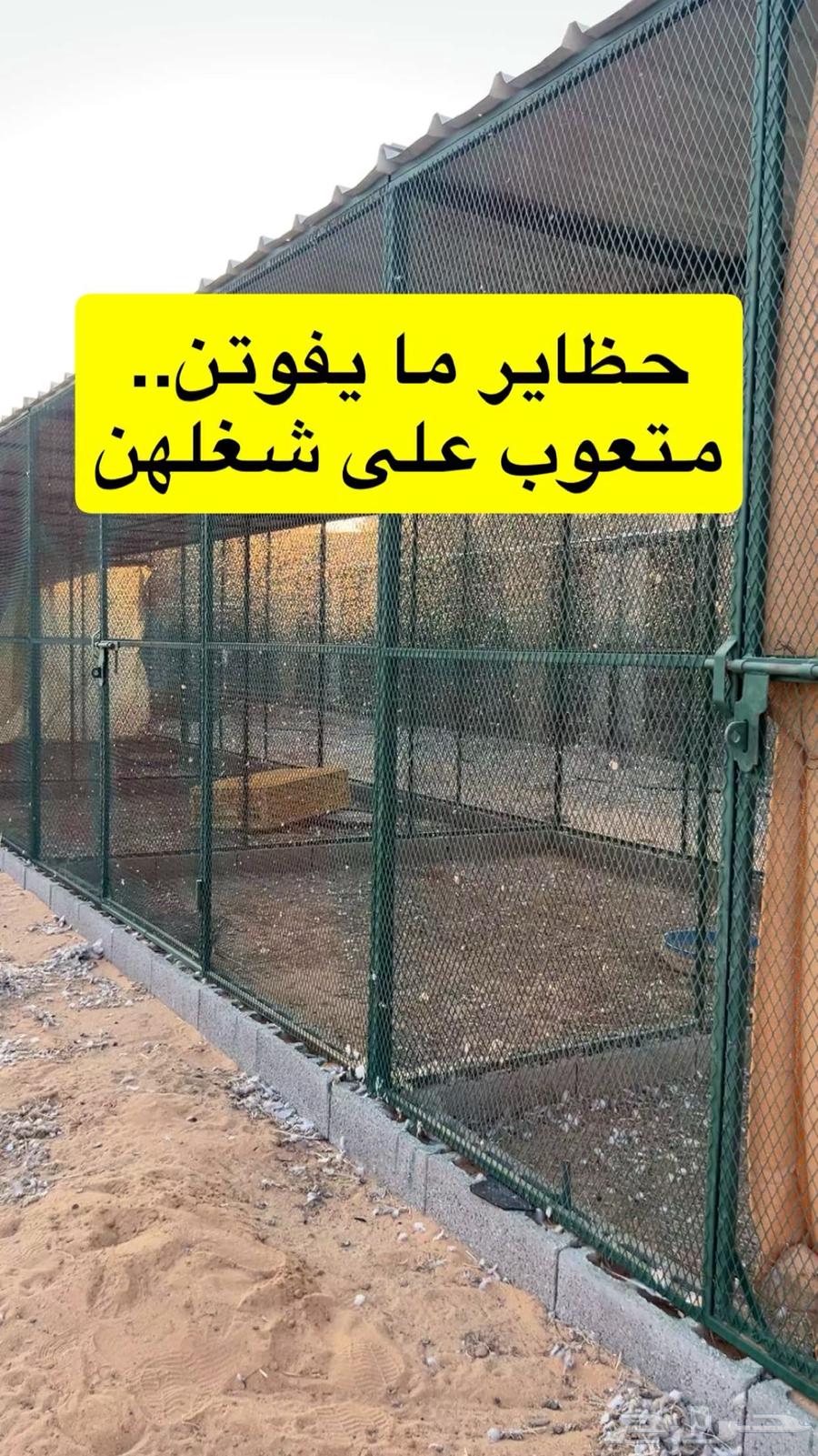 Pigeon Coops64547652514178110