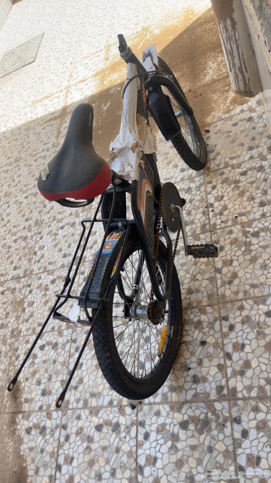 Rambow Endo Cycle Not Completed 6 Months64546268897153113