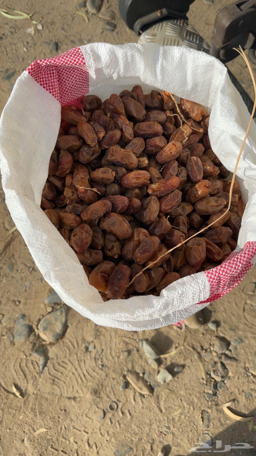 صفري في اكياس للبيع64549303668866110