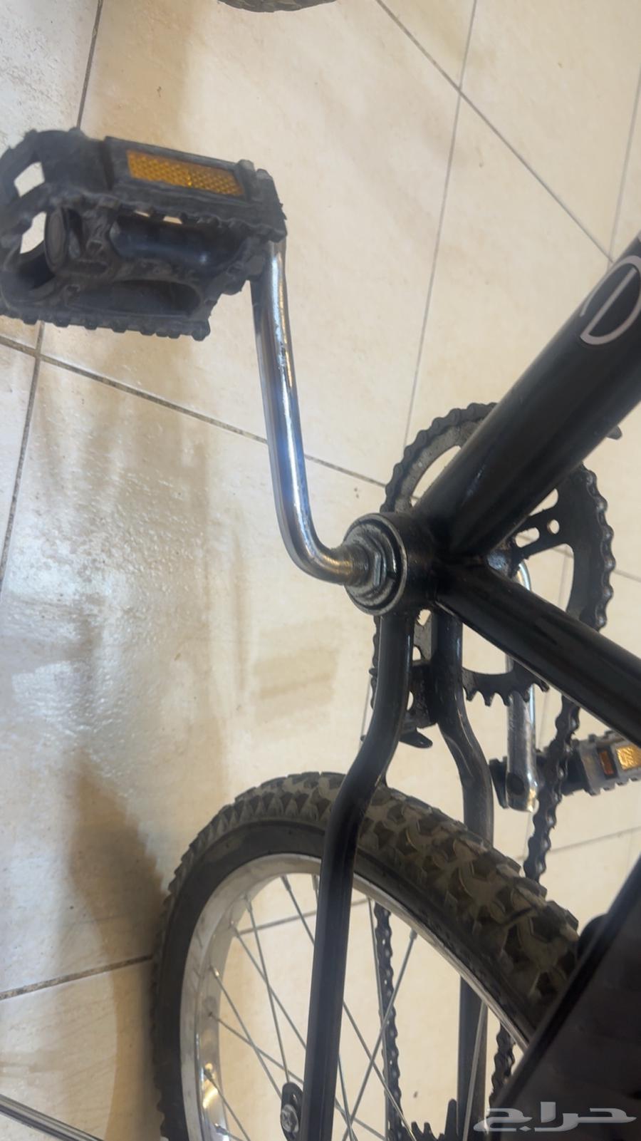 سياكل للبيع64551391442177113