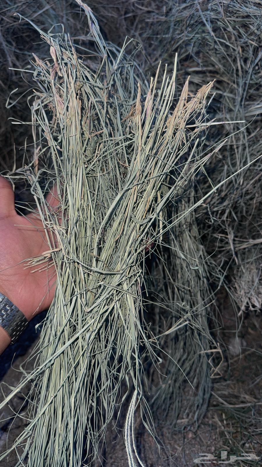 Clean farm feed, soft paper64550379655937112