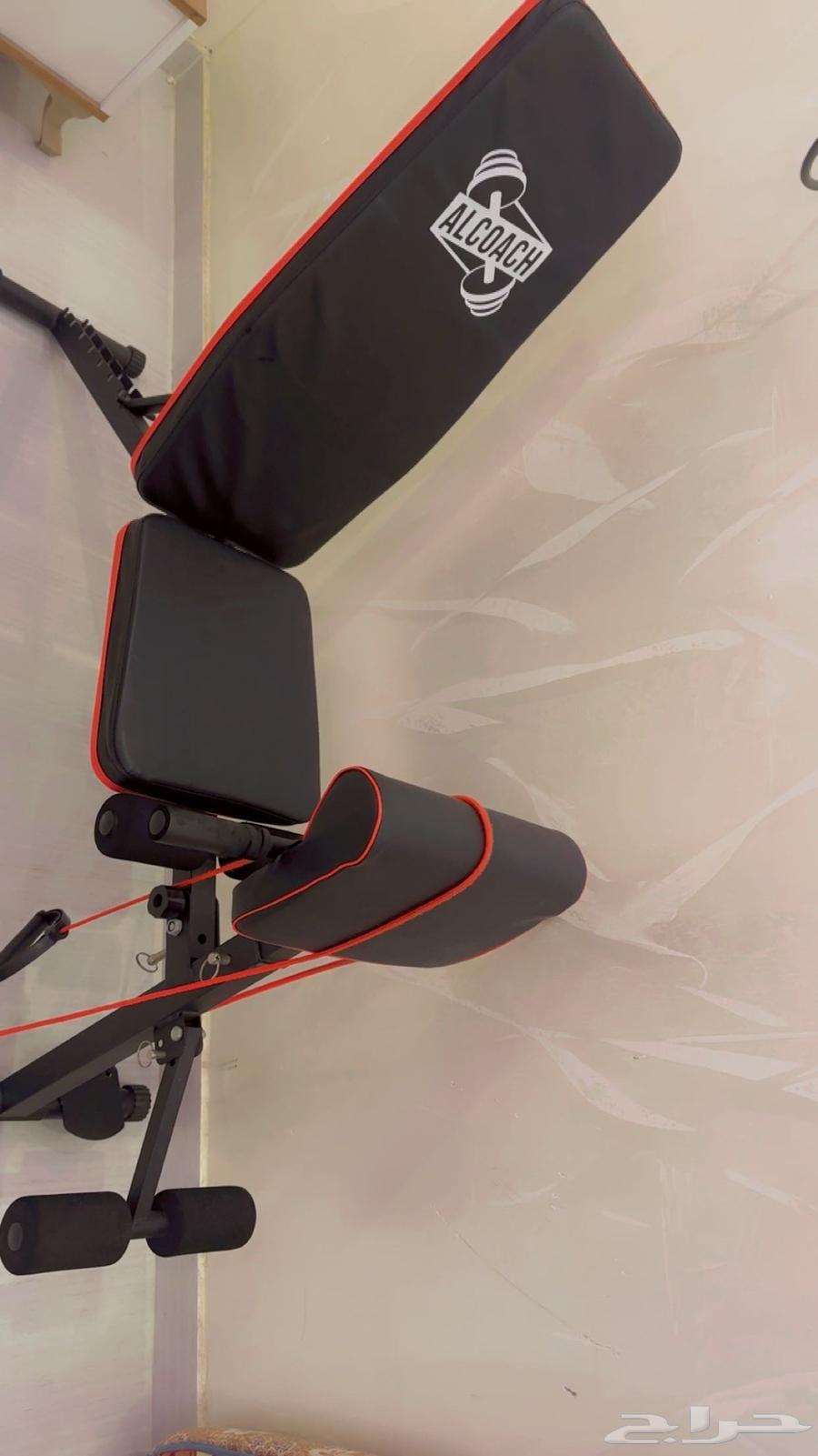 New mathematical tool from the sea64549542568066110