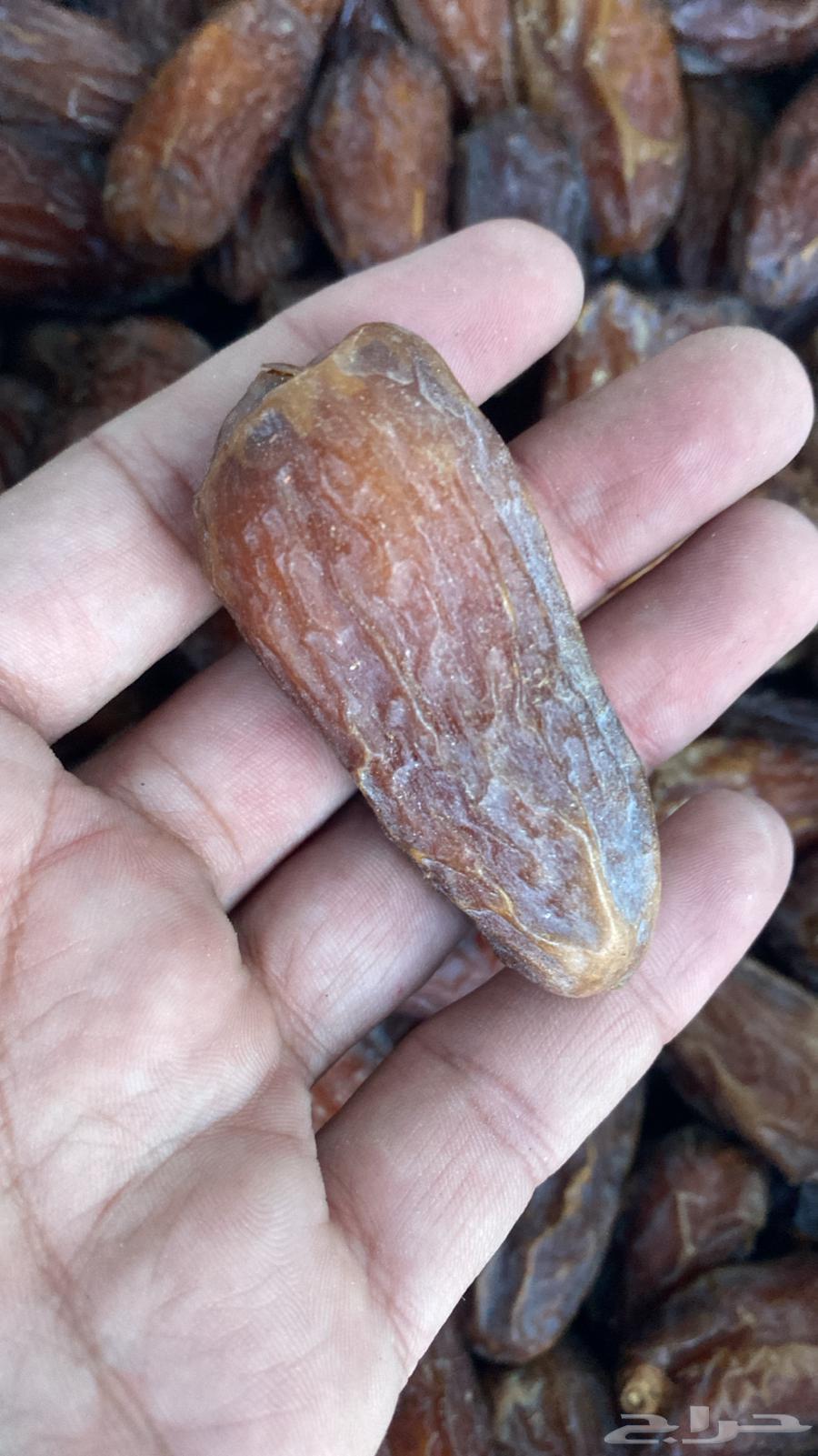 صفري حبه كبير راوي كراتين موز مليانه64546425322498111