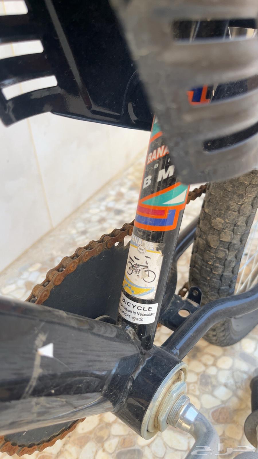 Rambow Endo Cycle Not Completed 6 Months64546268897153112