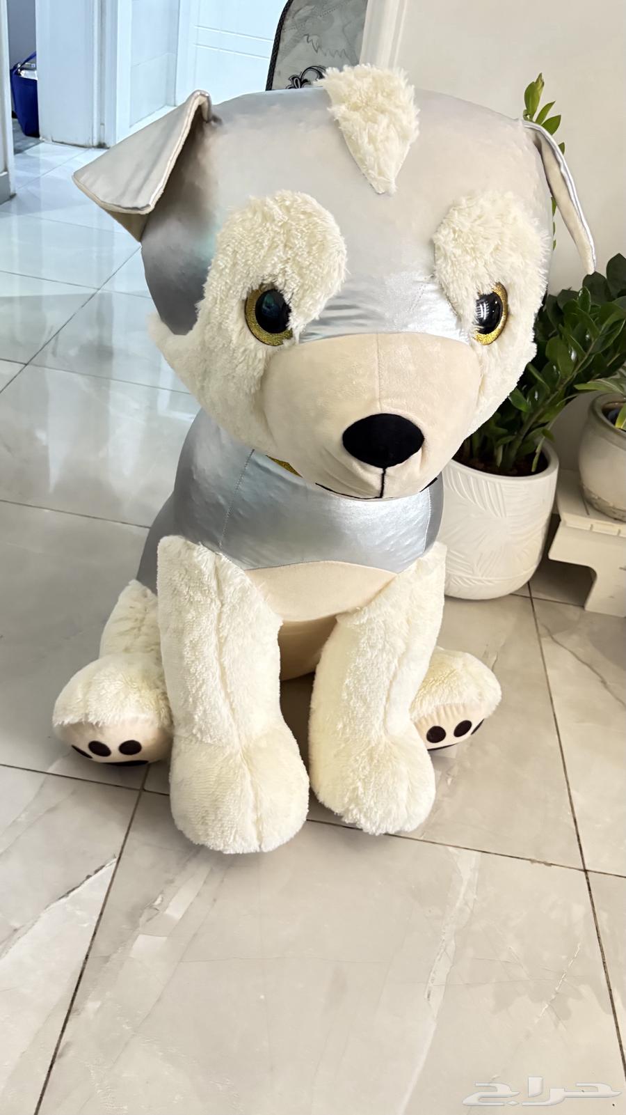 Game64548981264515111