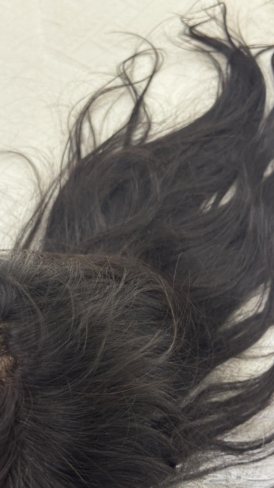 باروكه شعر طبيعي64546985310467112