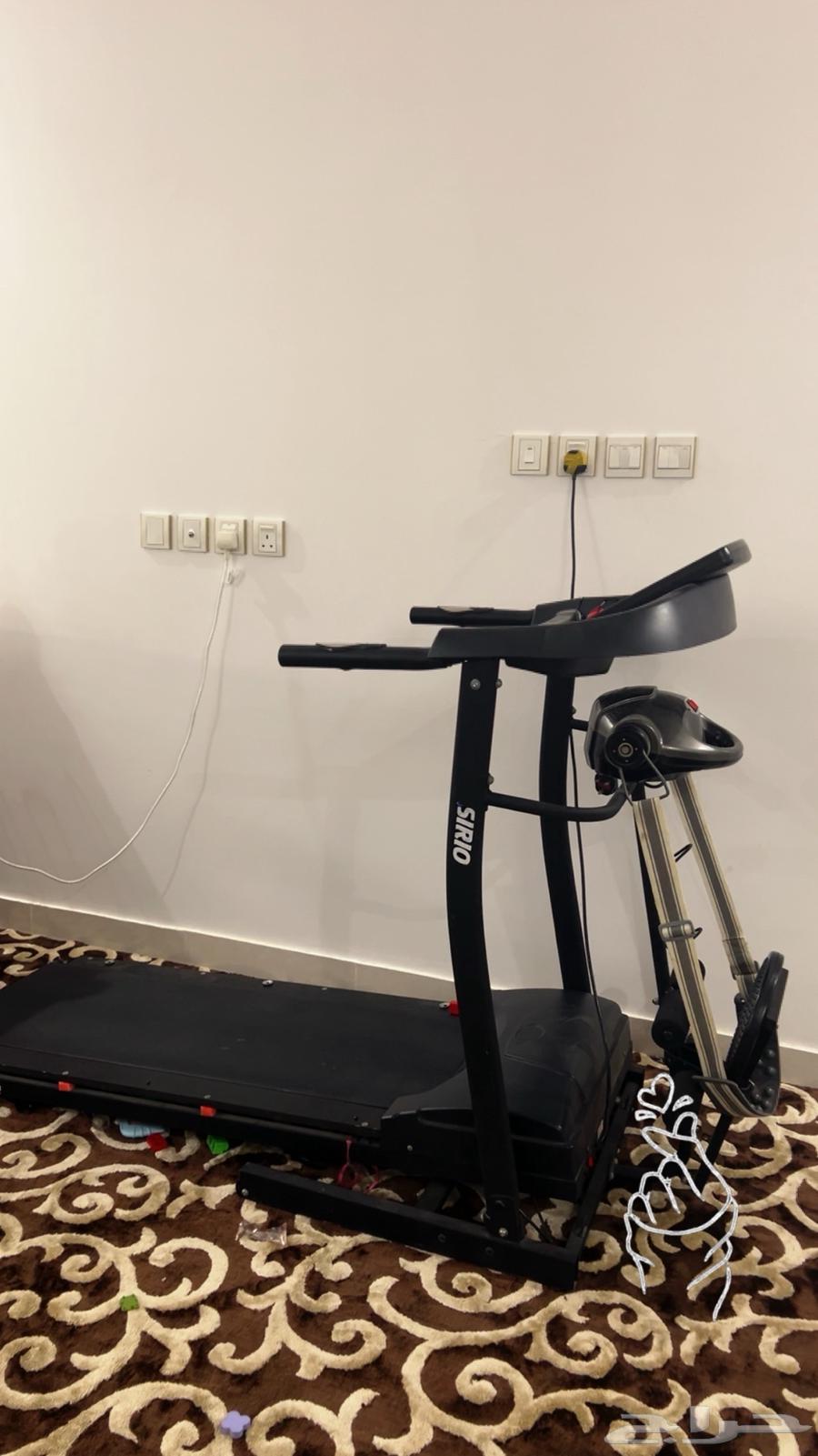 Sir Yomark64544608116865110