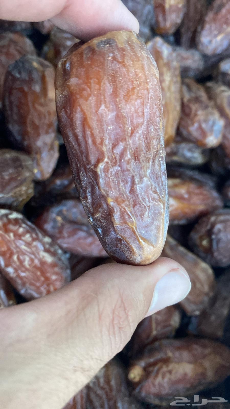 صفري حبه كبير راوي كراتين موز مليانه64546425322498112