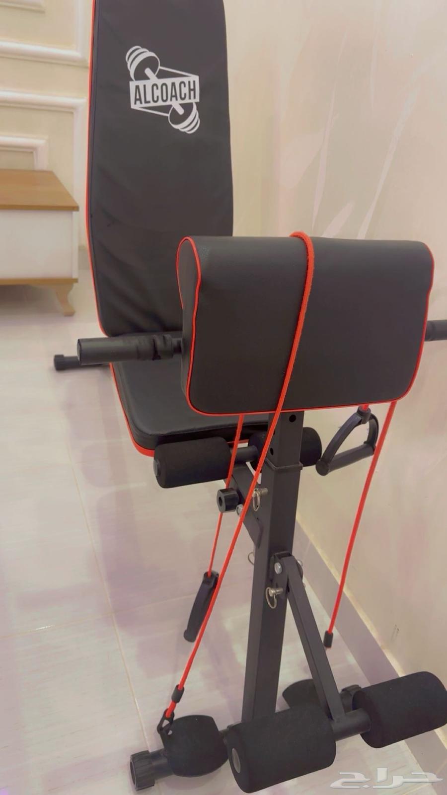 New mathematical tool from the sea64549542568066111