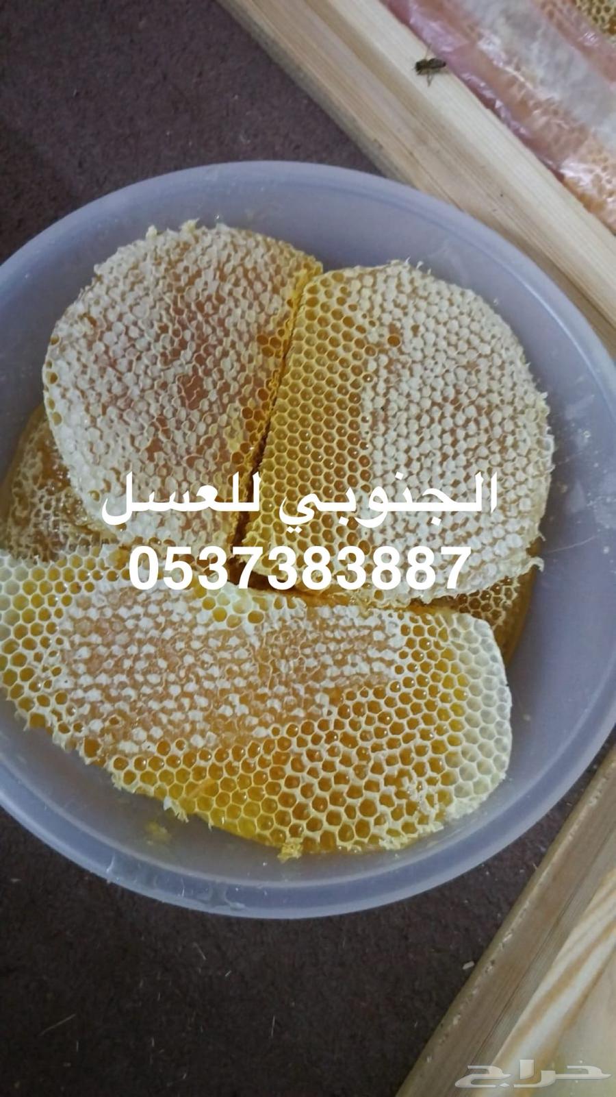Premium Sidr Honey64544143118082111
