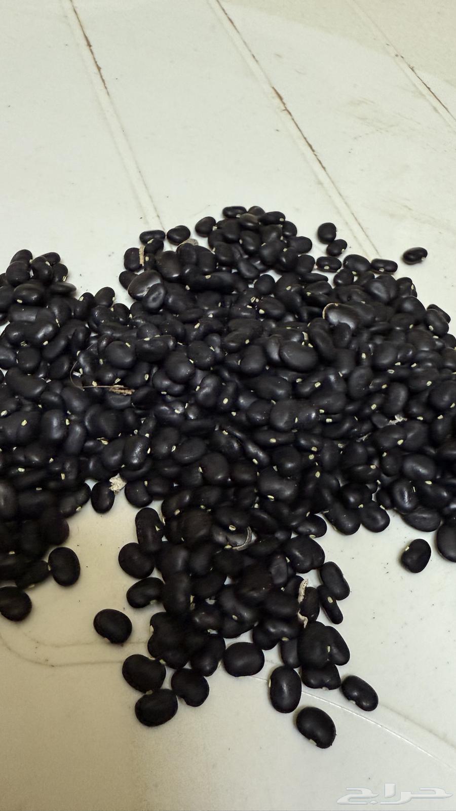 بذور شاي ازرق64550661496579112