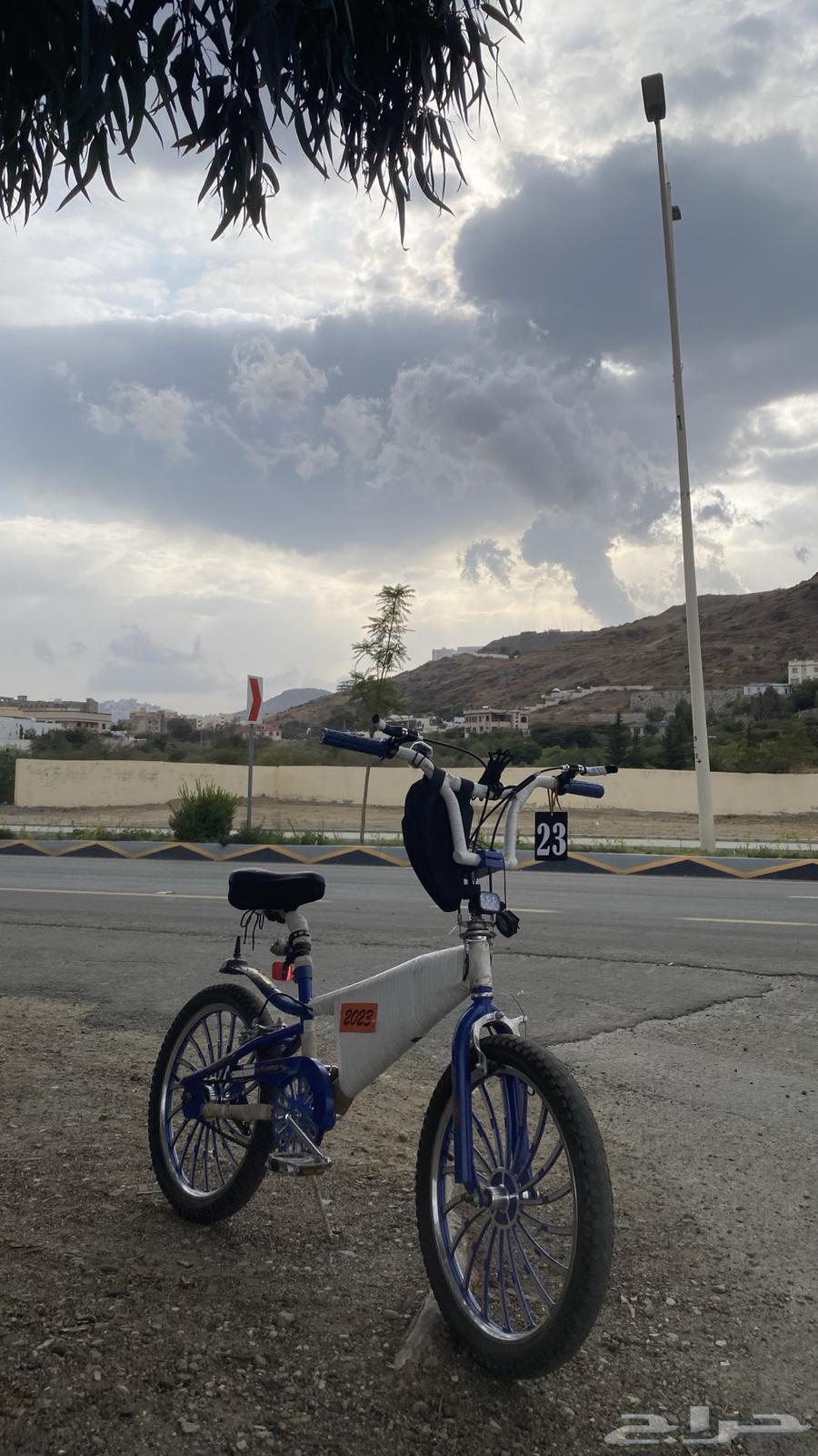 Cyclone Cobra Chrome Rims64546285203075110