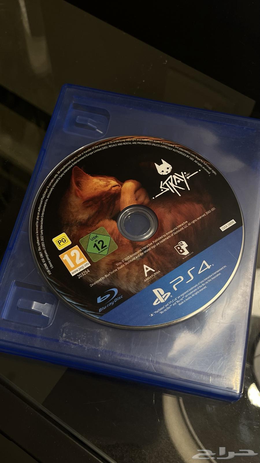 Stray Band - Stray64549219421057111