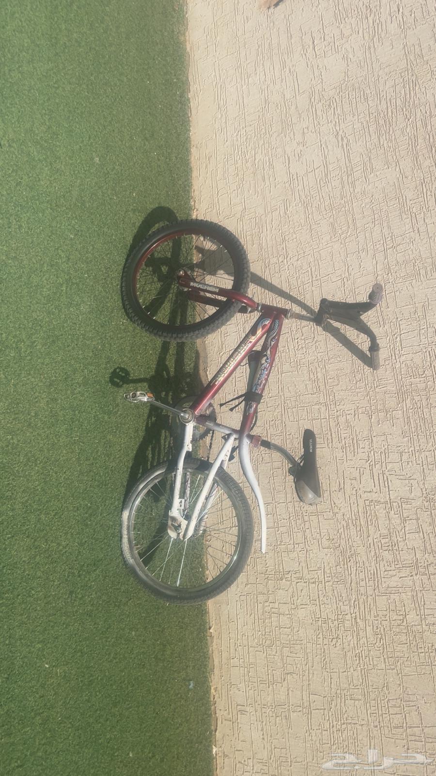 Cobra Grape Bicycle64547721964673110