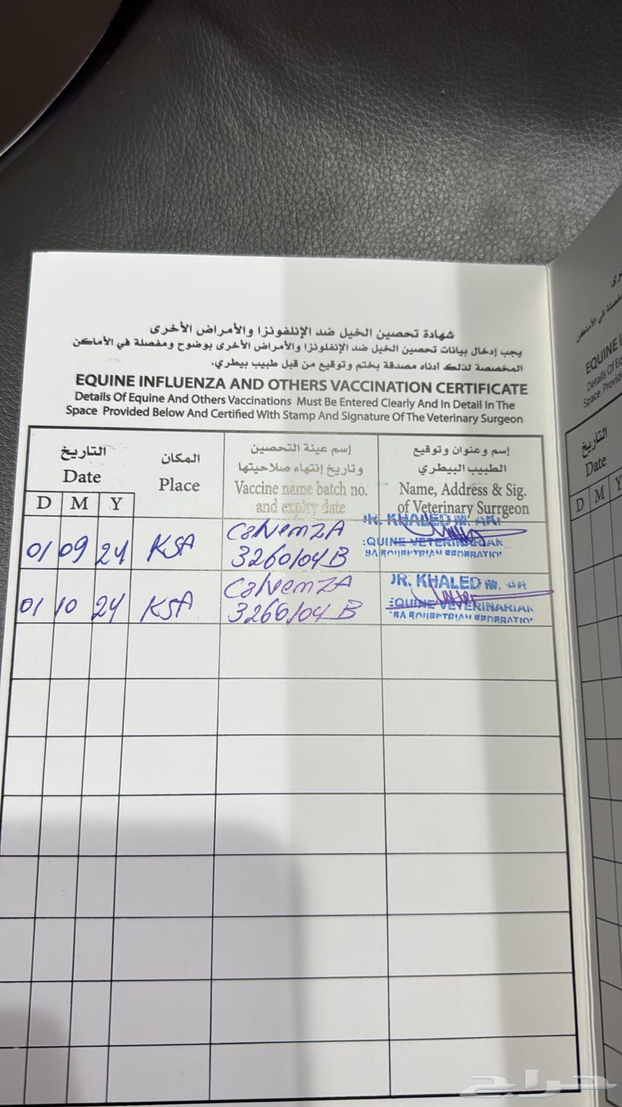 Show jumping horse64552760804866112