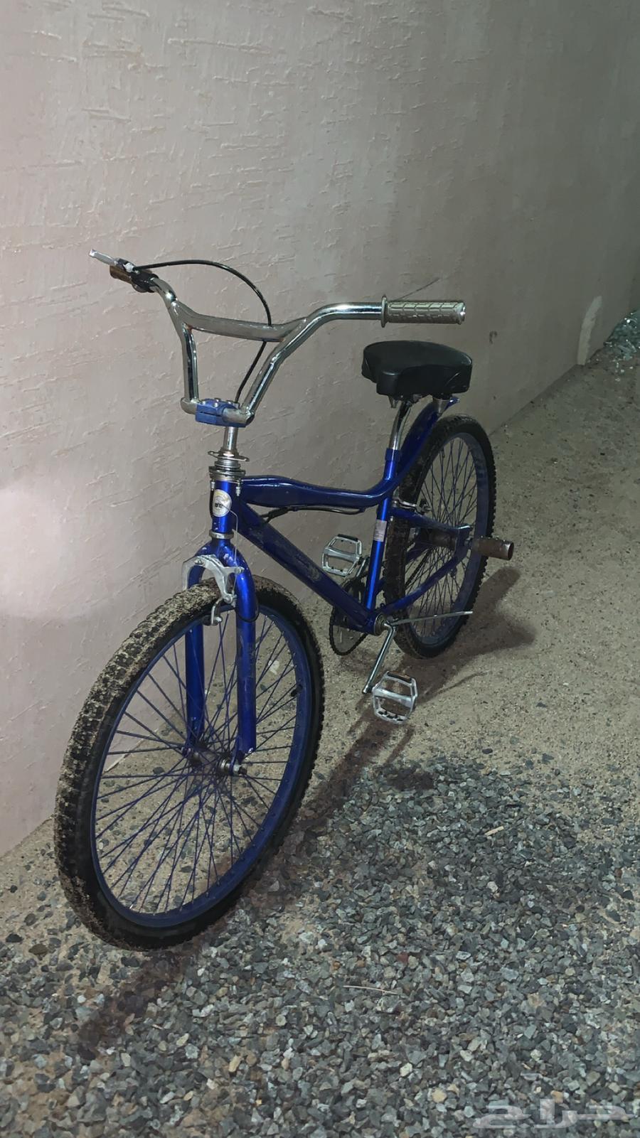 سيكل كفو ما يشكي من شي64552647434114111