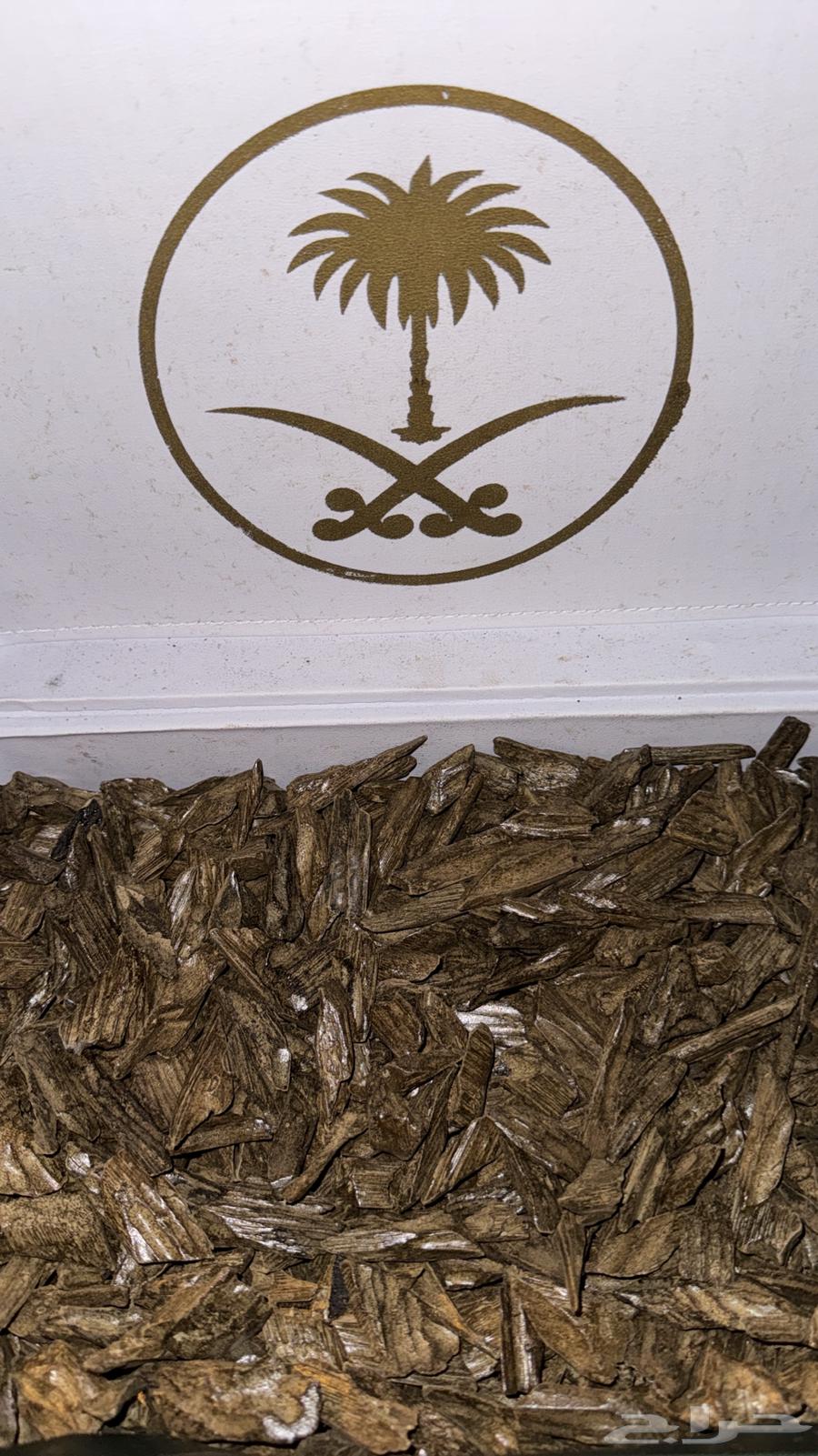 عود دقة كلمنتان VIP64553058555522110