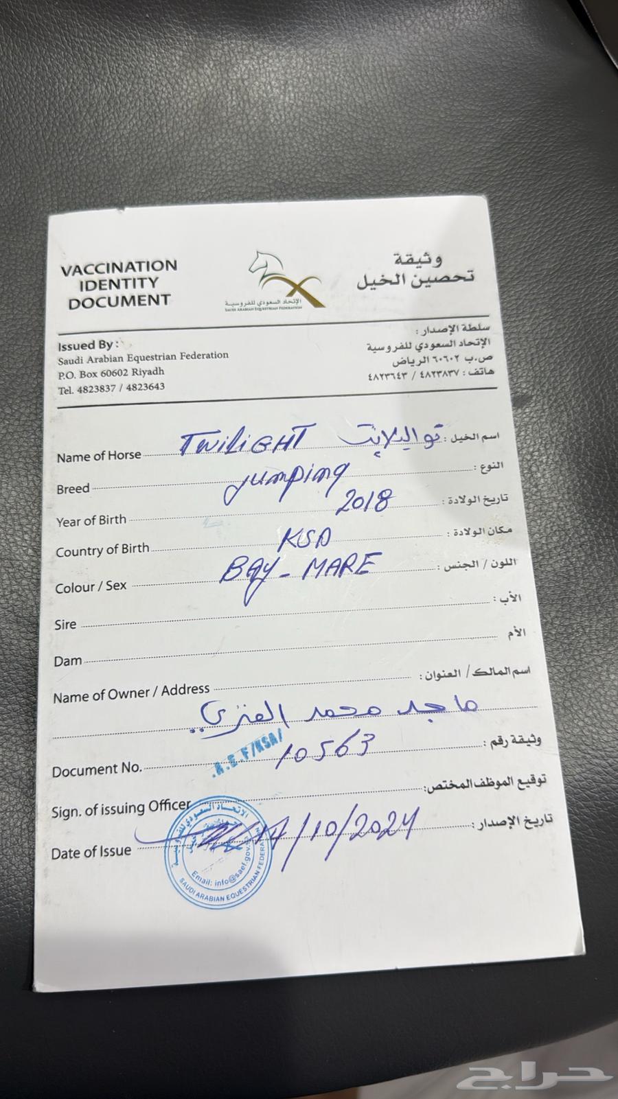 Show jumping horse64552760804866111