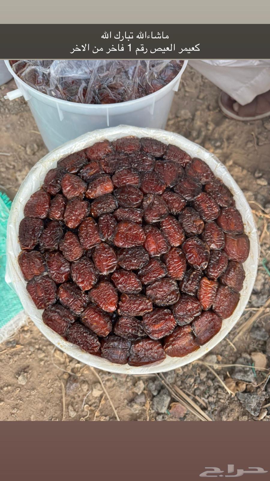 For sale, K3imr Al3ys number 164548056355585110