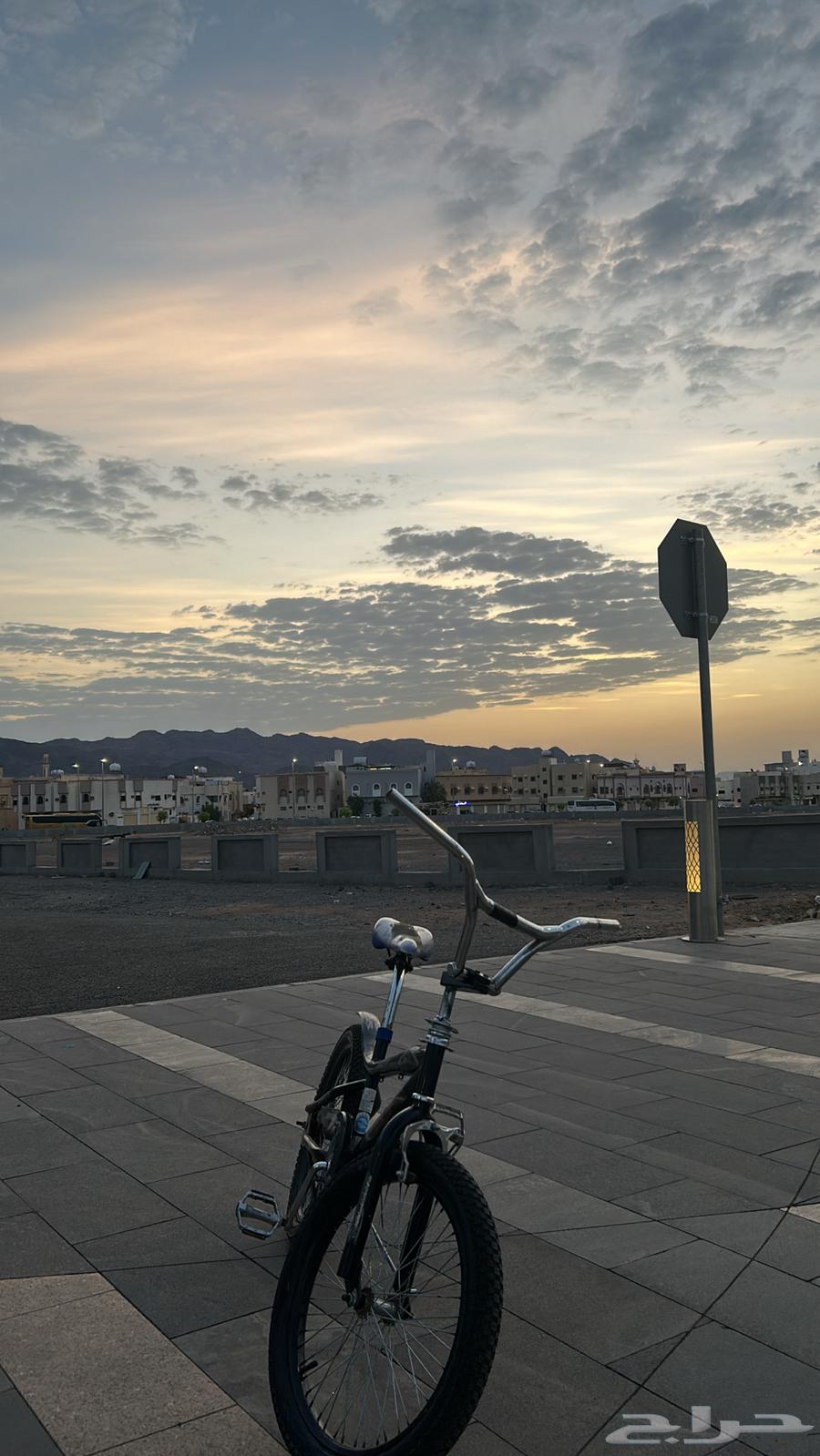 دراجه كوبرا مقاس20 نظيفه استخدام سنه64547068674689114