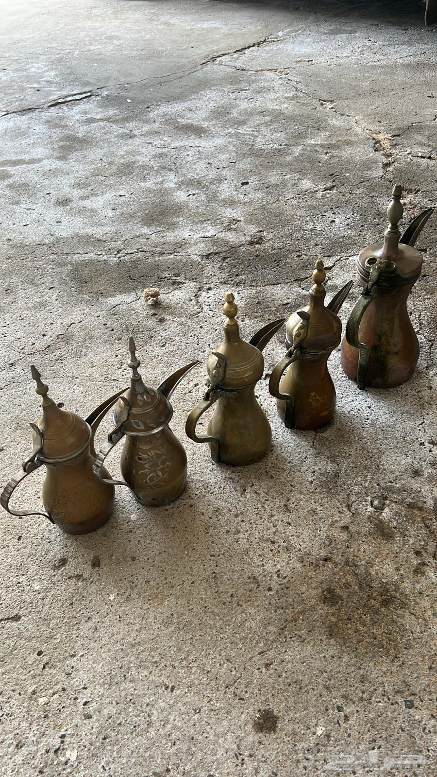 دلال قديمه64545019542274111