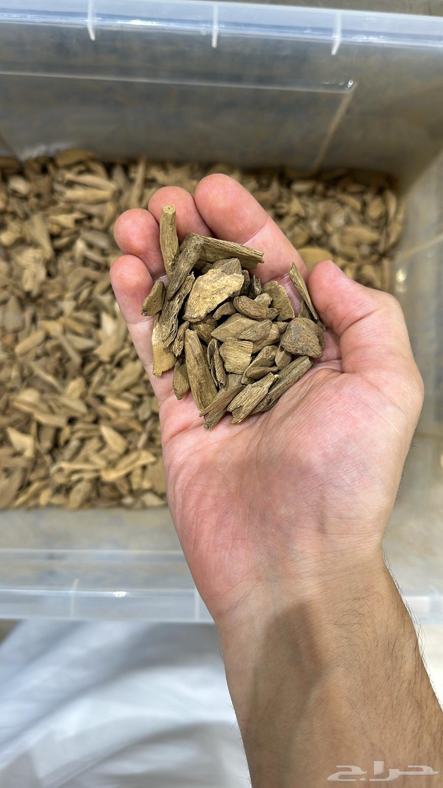 دقة مروكي طبيعي64547360185475111