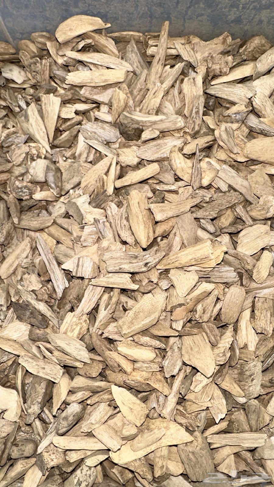 دقة مروكي طبيعي64547360185475112