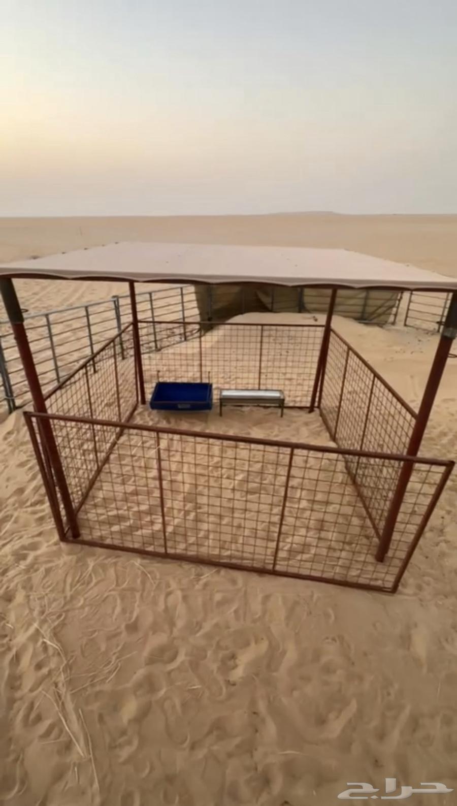 صفايح شبك غنم ومضله غنم جديده64551590009346112