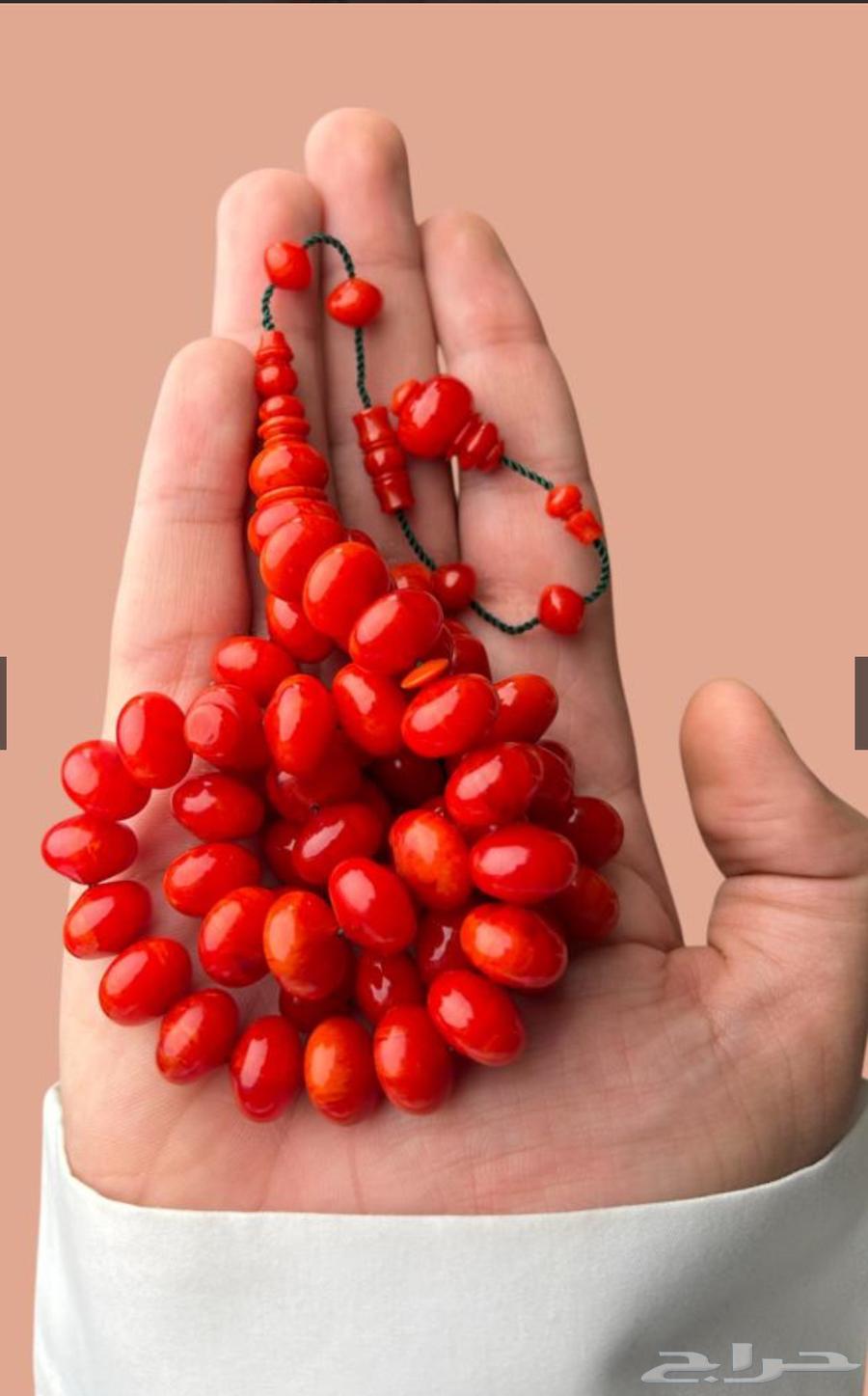 Swimming in Sweaty Island Invoices64546425280513111