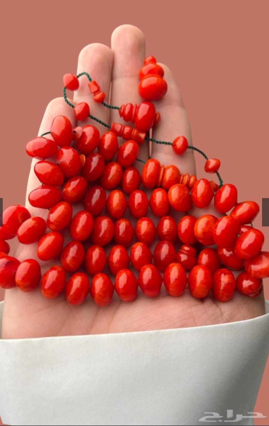 Swimming in Sweaty Island Invoices64546425280513110