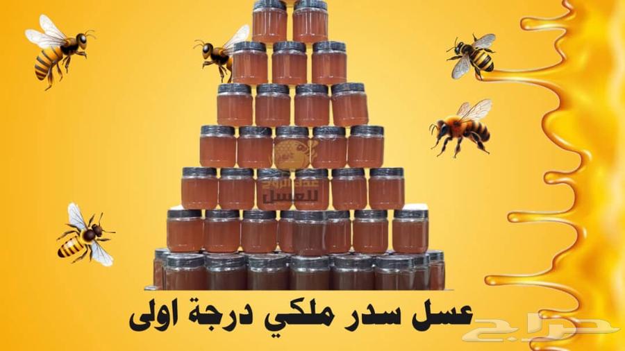 First-grade Sidr honey with a money-back guarantee if unsatisfactory64545540912770111