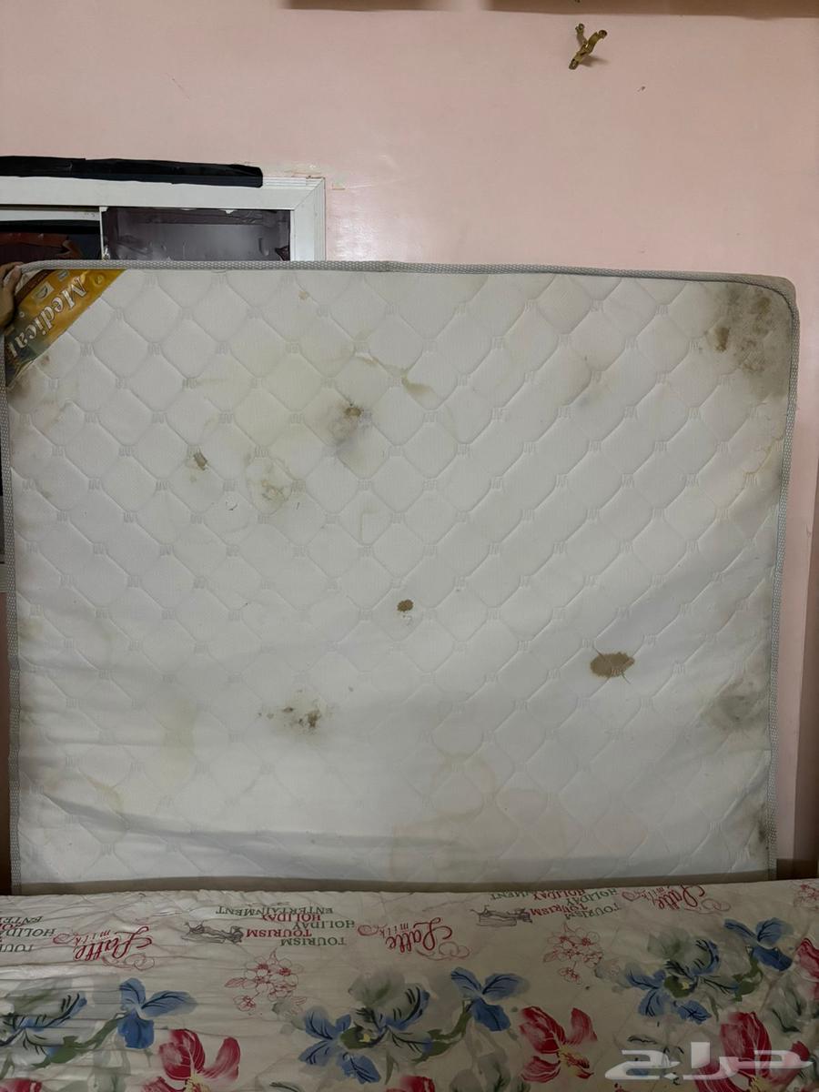 مرتبة نفرين ب10064548758604674110