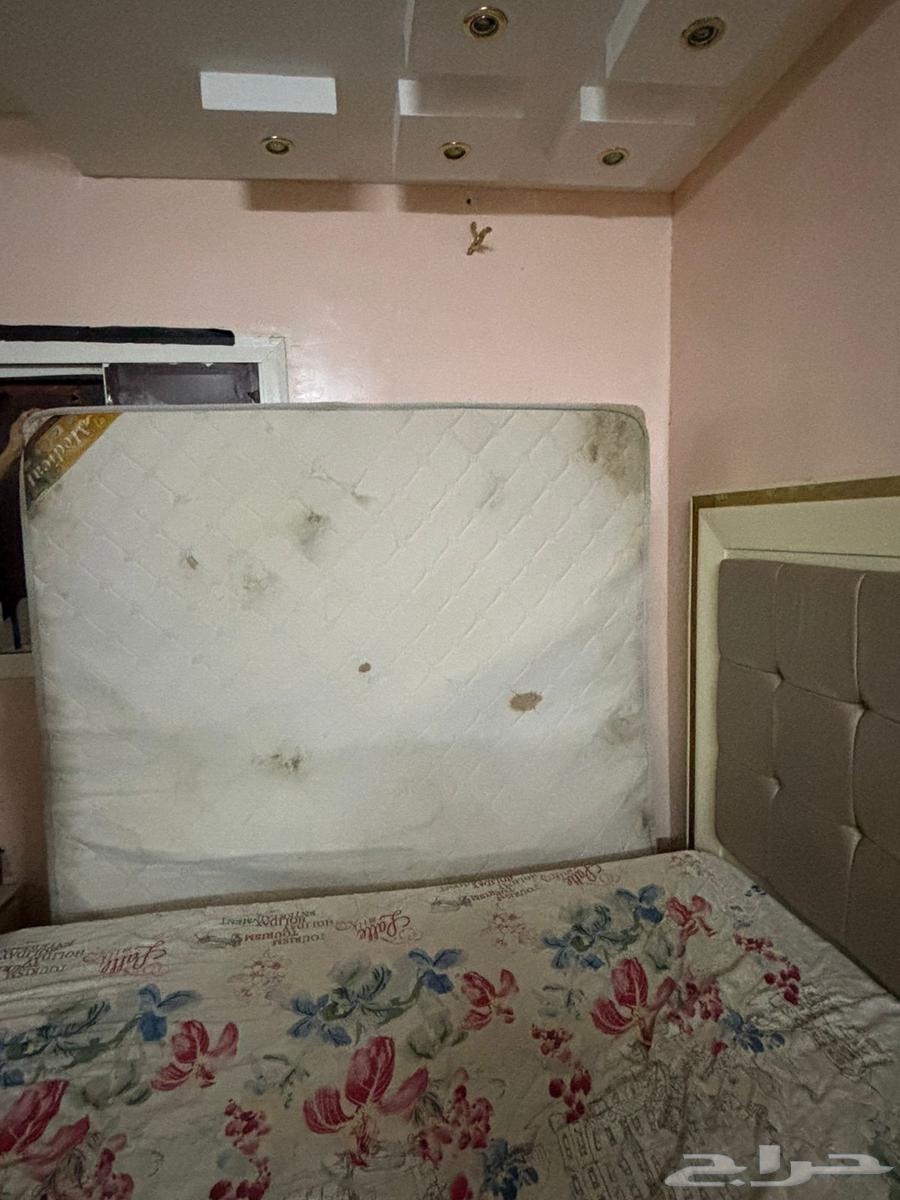 مرتبة نفرين ب10064548758604674111