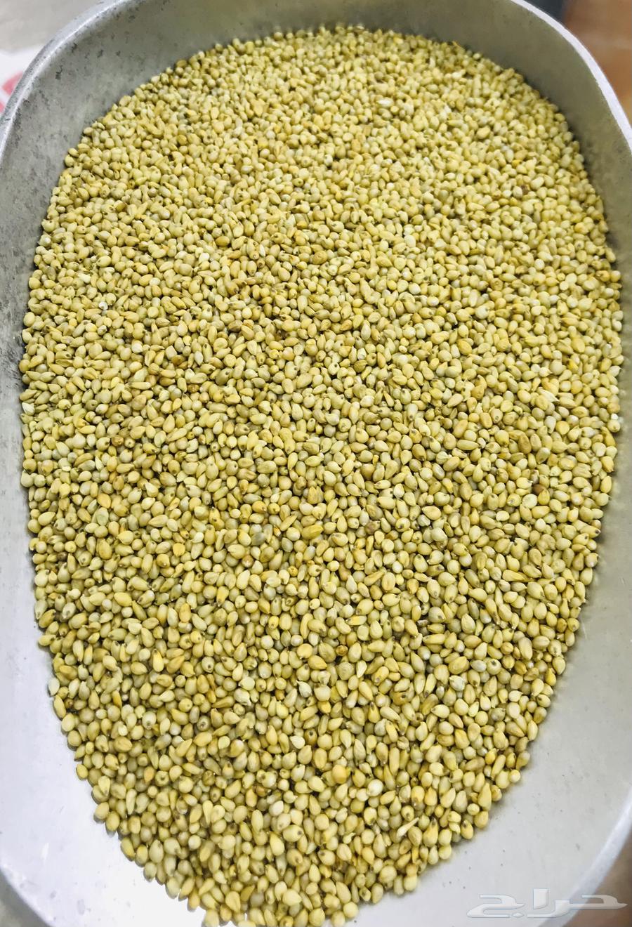 دخن بيضان الاصلي خواضه64549457925635112