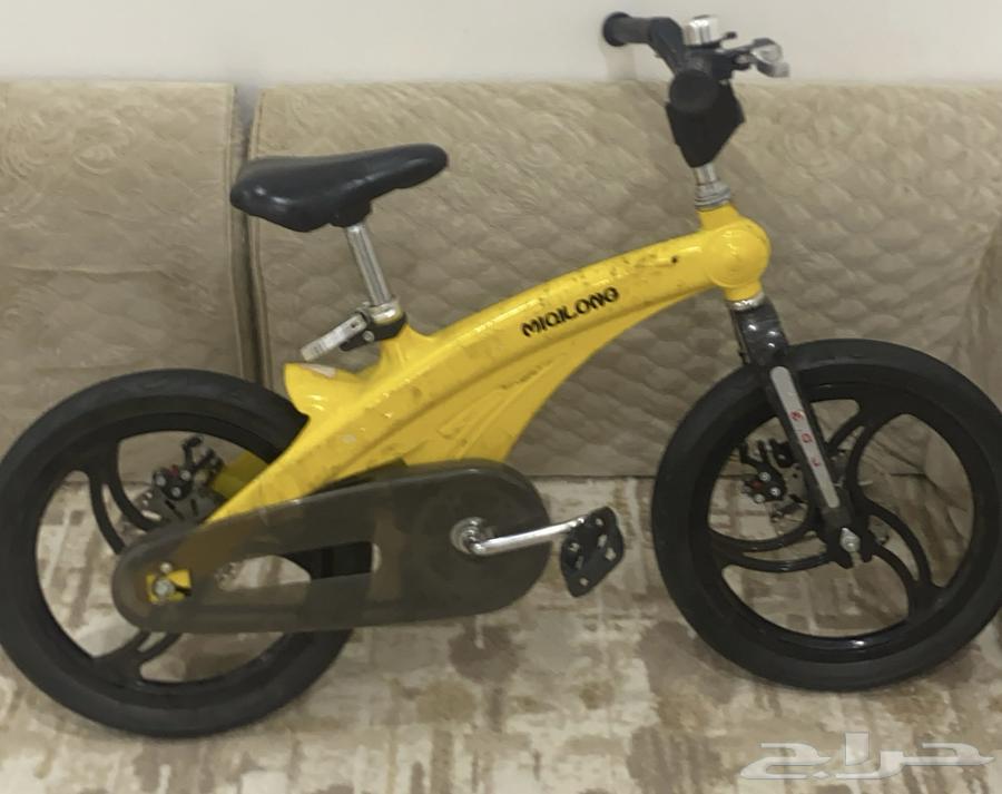 Tabuk64551076370562111