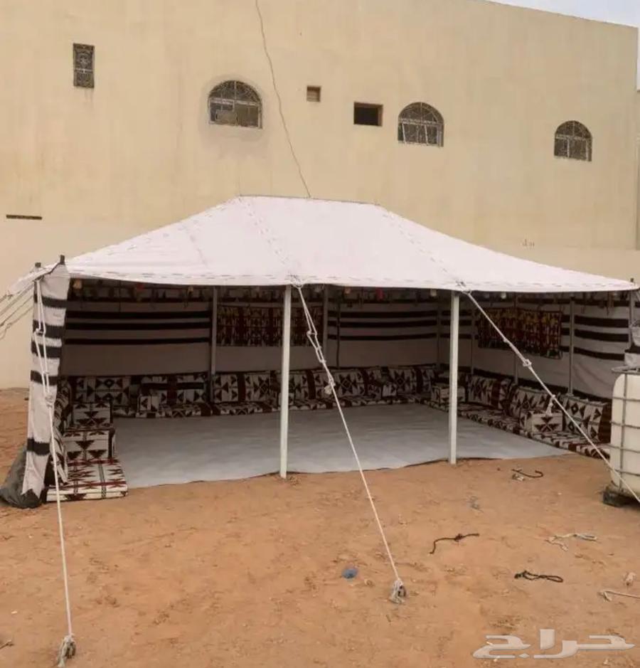 بيوت شعر البيض جميع المقصات64550396150017114