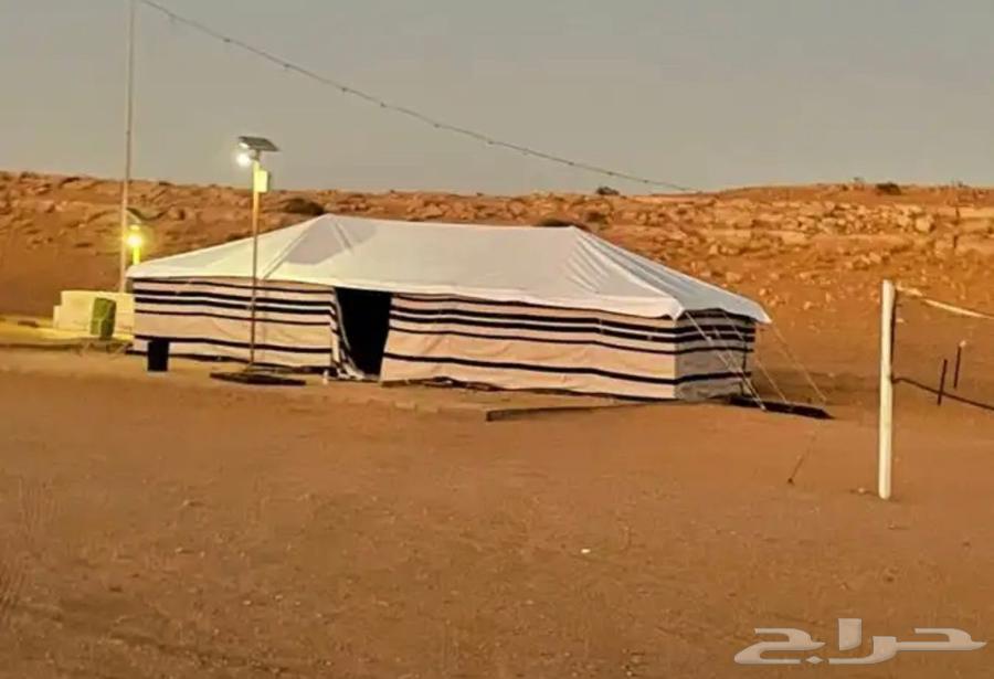 بيوت شعر البيض جميع المقصات64550396150017113