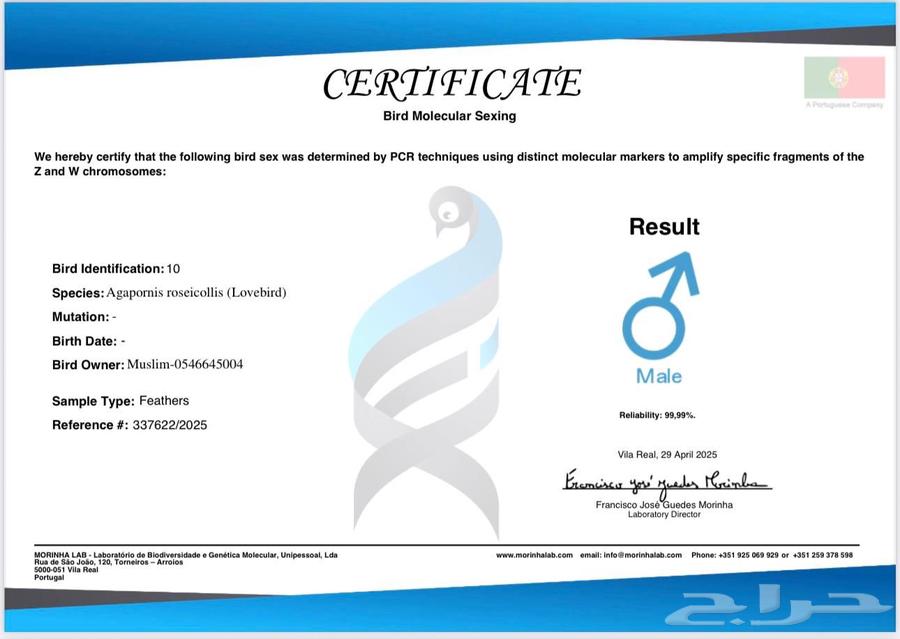 روز اليف64549740383617113