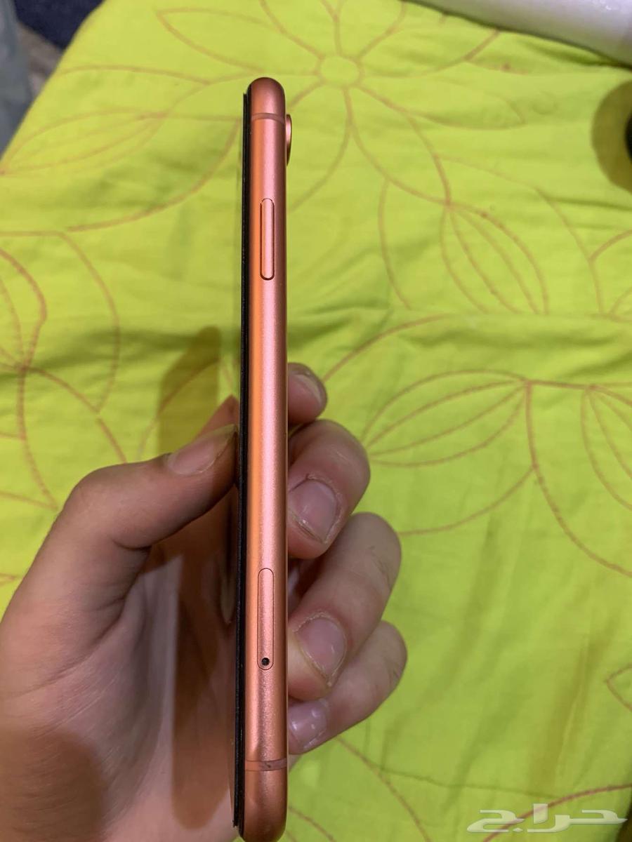 iPhone XR64552746784769113